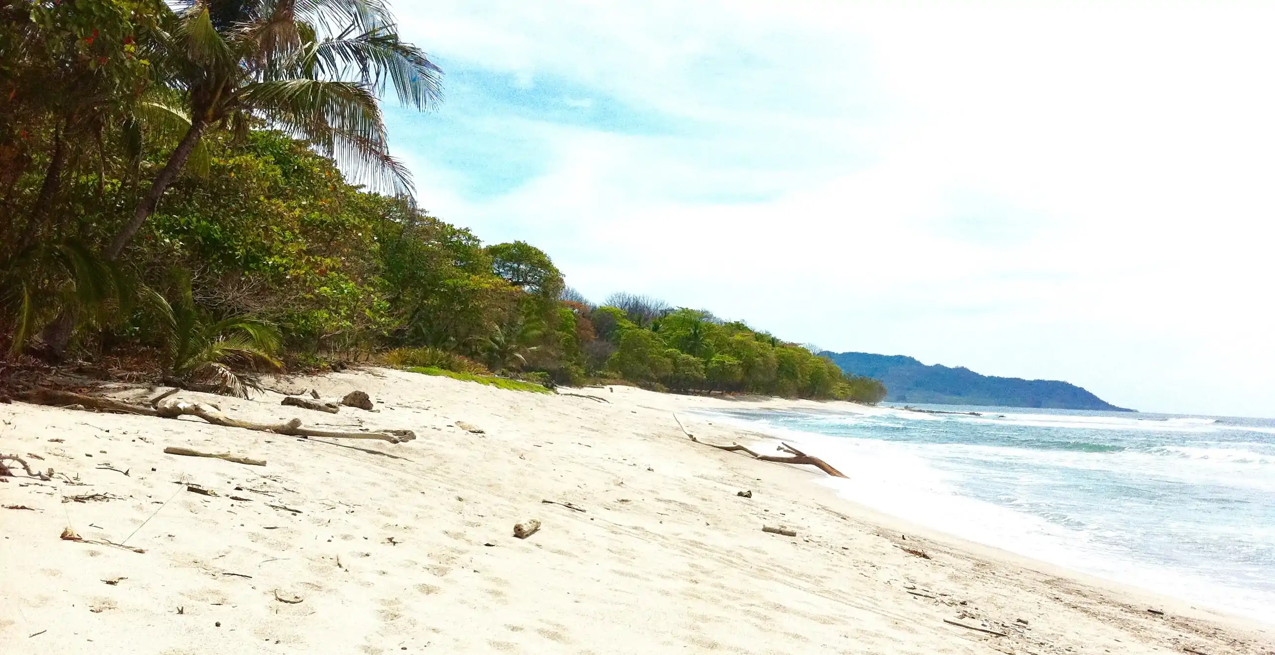 Santa Teresa Charter Flights