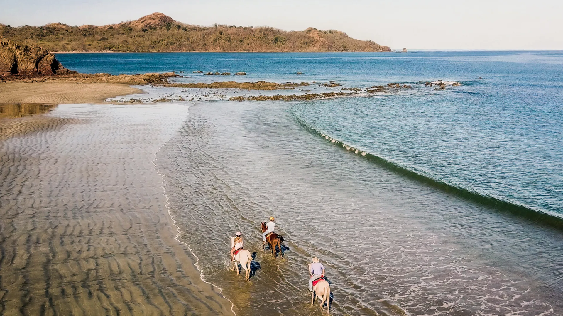Tamarindo